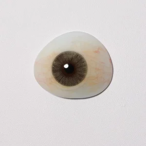 Eyeshare Lensescolor Contact Lenses Display Shelf Contact Lens Board Prosthetic Eyes Glass Eye Ocular Prosthesis Lensa Kontak