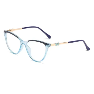 Factory Price Colorful Injection Blue Blocking Trendy Designer Optics Eye Glasses Frame