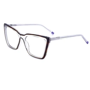 Fancy Yle Women Two Colors Frame Eyeglasses Insert Core Legs Spectacles Big Eye Acetate Frame Optical Glasses
