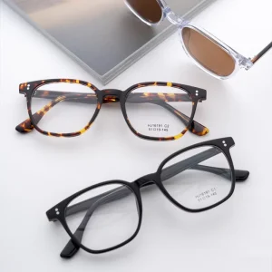 Fashion Retro Acetate Eyewear New Style Optical Glasses Frames for Women Men
