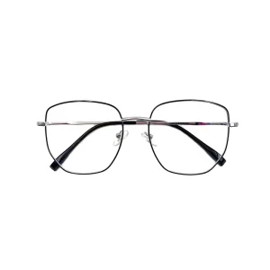 Model 6509 Irregular Alloy Frame Reading Glasses for Women and Men