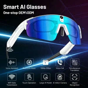 OEM Smart Glasses with Translation, Video Capture, Object Recognition