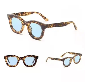 Polarized PC Sunglasses Frames