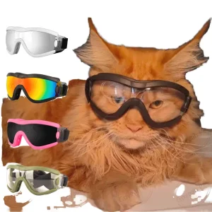UV-Protective Dog Sunglasses Sun-Blocking Transparent Solid Plastic Winter Sport Dog Goggles Anti-Dust Windproof Pet Sunglasses